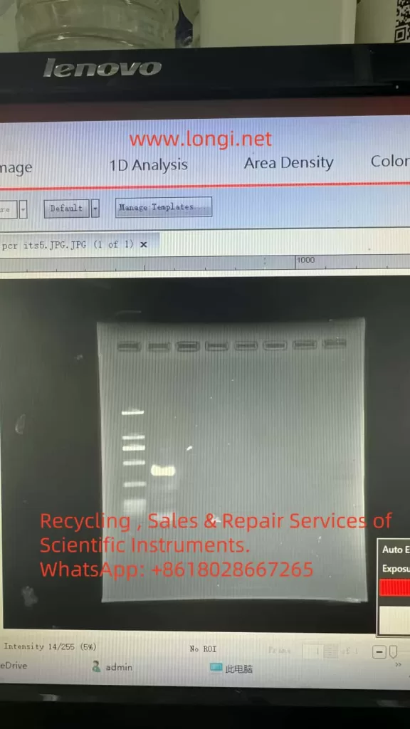 The images captured by the gel imaging system are not clear.