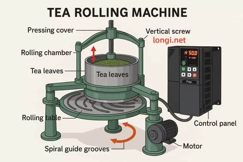 Schematic diagram of the principle and structure of a tea rolling machine