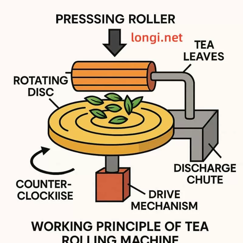 Schematic diagram of the principle and structure of a tea rolling machine