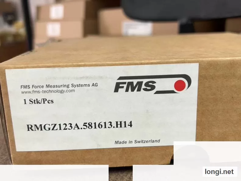 FMS RMGZ123A.581613.H14 300N Tension Sensor product photo