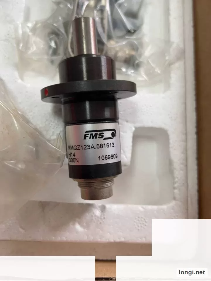 FMS RMGZ123A.581613.H14 300N Tension Sensor product photo