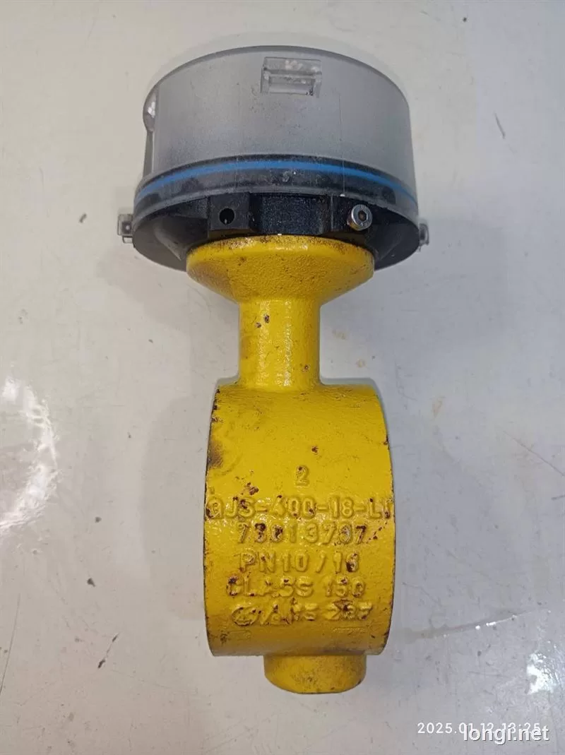 Elster Quantometer Q65 DN50 PN10 Gas Flow Meter product photo