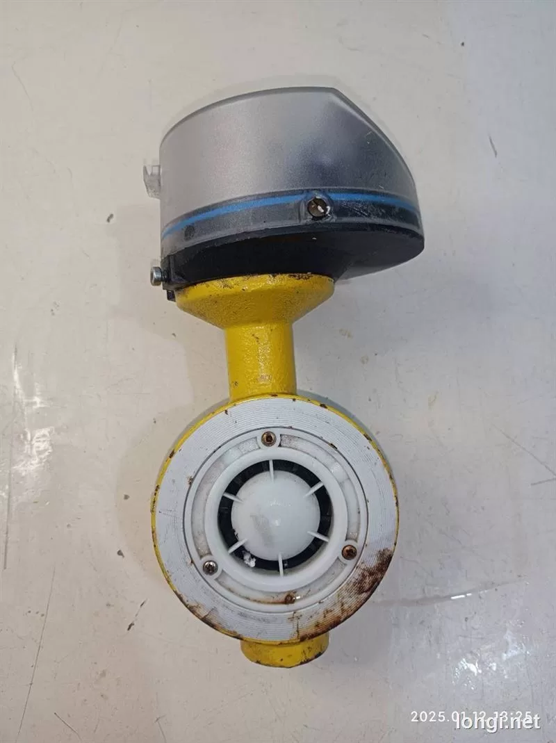 Elster Quantometer Q65 DN50 PN10 Gas Flow Meter product photo