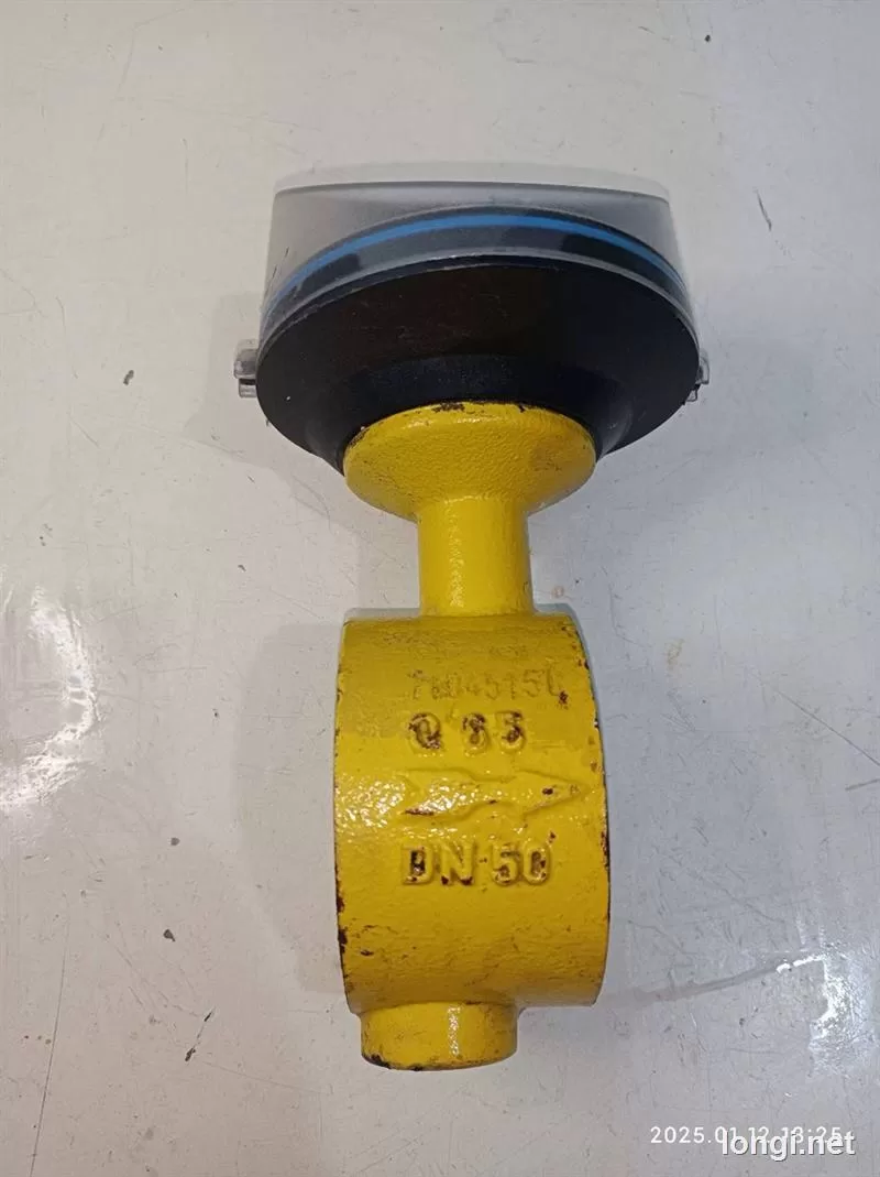 Elster Quantometer Q65 DN50 PN10 Gas Flow Meter product photo