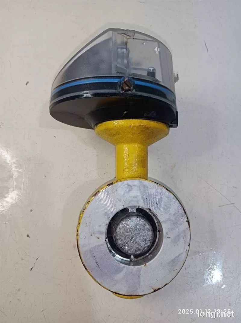 Elster Quantometer Q65 DN50 PN10 Gas Flow Meter product photo