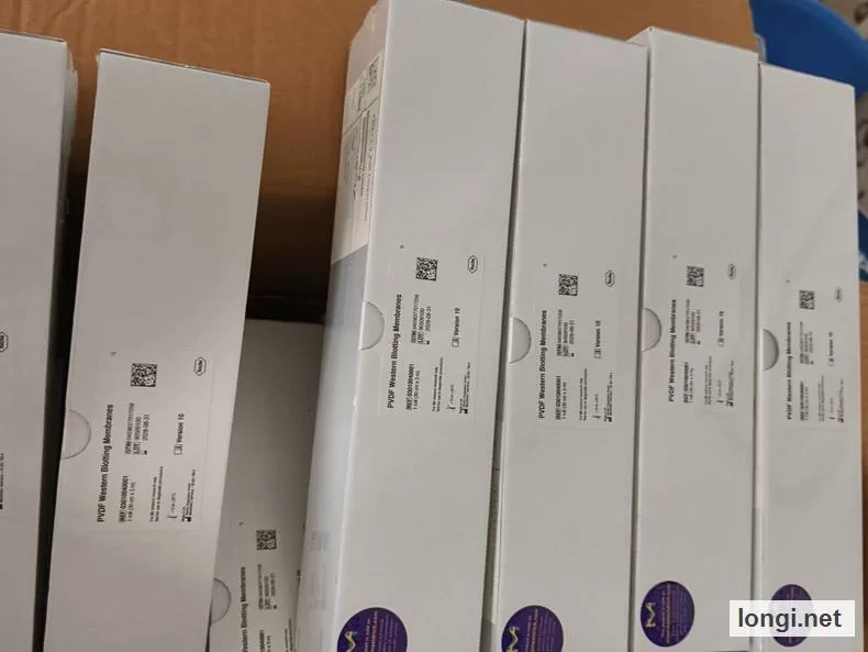 Roche 03010040001 PVDF Membrane 30 cm x 3 m product photo