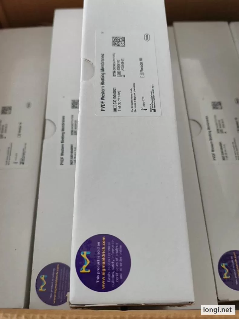 Roche 03010040001 PVDF Membrane 30 cm x 3 m product photo